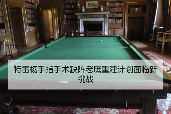 te-lei-yang-shou-zhi-shou-shu-que-zhen-lao-ying-chong-jian-ji-hua-mian-lin-xin-tiao-zhan-1-640.jpg